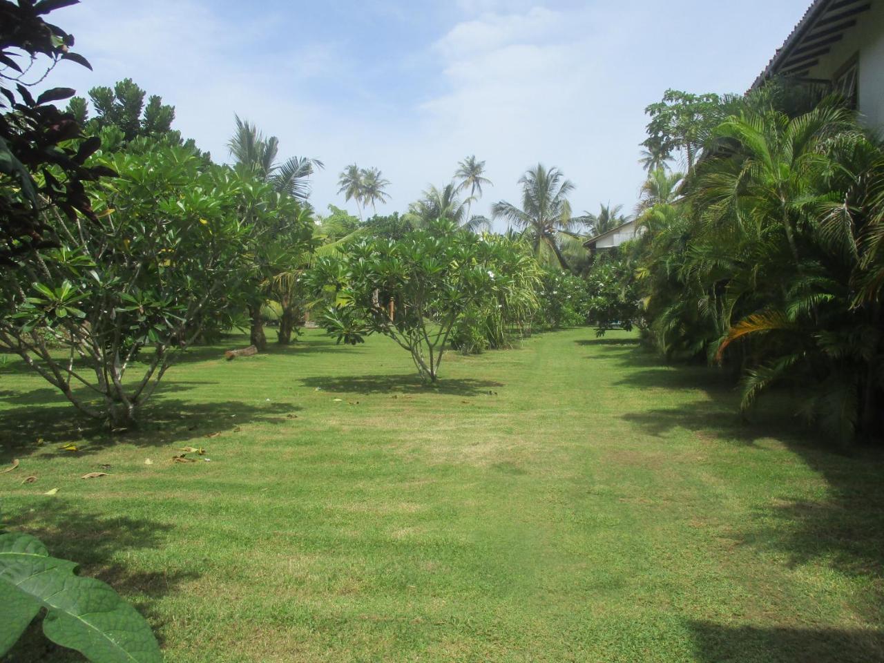 Raja Beach Hotel Balapitiya Luaran gambar