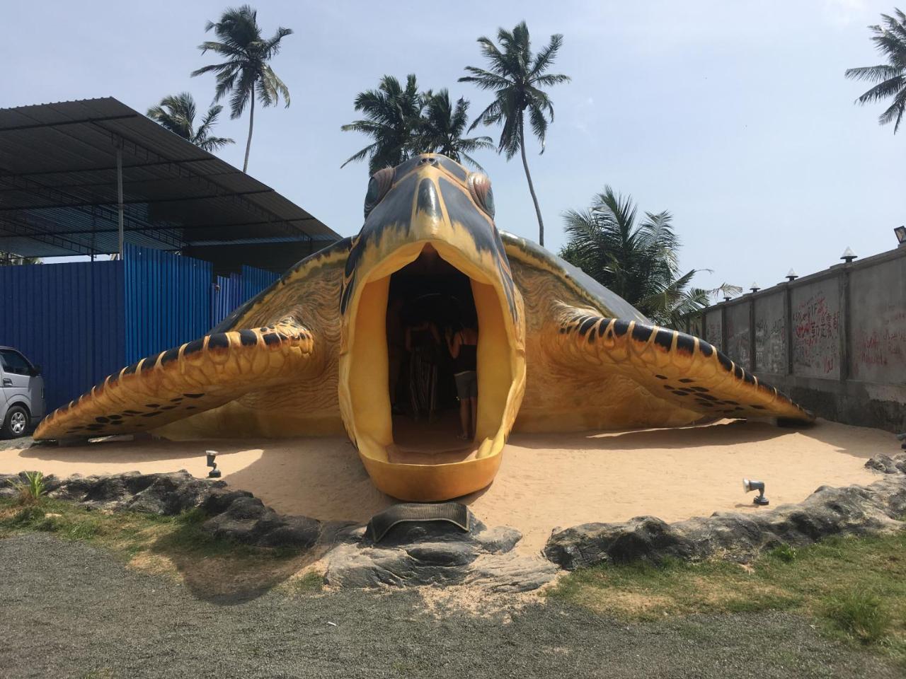 Raja Beach Hotel Balapitiya Luaran gambar