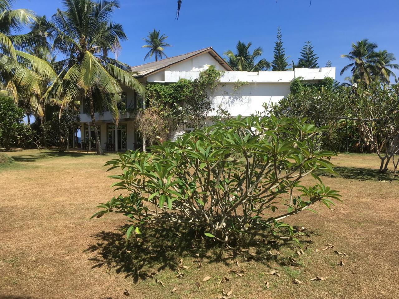 Raja Beach Hotel Balapitiya Luaran gambar